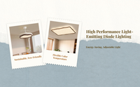Dimmable LED Ceiling Light for Living Room