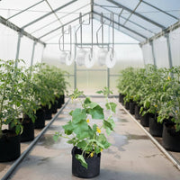 10 Pieces Tomato Plant Roller Hook White Tomato Trellis Roller Hook Reusable