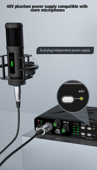 RK RK02 2-In 2-Out USB External Sound Card for Recording