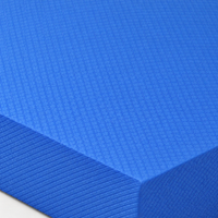 Stability Cushion Balance Pad, TPE Balance Pad for Rehabilitation & Balance Training, Non-Slip Soft Exercise Pad for Home Workouts
