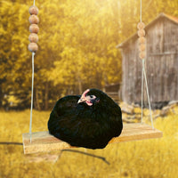 Parrot Swing and Wooden Bird Toy, Wooden Avian Perch for Adult Species, Single Pack Swing, Wooden Pet Bird Accessory