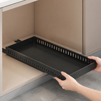 pull-out cabinet organizer