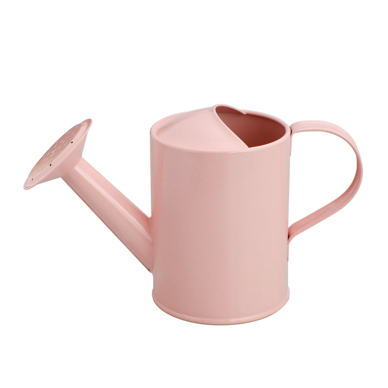 Pink Iron Watering