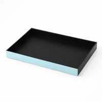 Desktop Organizer Tray, Waterproof Compartment with Frosted Acrylic Finish, Vanity for Bathroom and Bedroom Storage, with