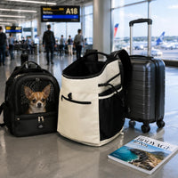 Mesh Pet Backpack Top Handles Backpack Pet Carrier Transparent Panel