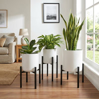 Corner Shelf Plant Stand for Indoor Plants, Modern Minimalist Metal Design, Floor Standing Display Stand, Adjustable Plant Pot Stand Indoor