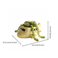 Succulent Planter Polished Finish Resin Planter Molded
