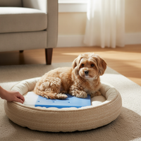 Pet Cooling Ice Pack for Air-Conditioned Rooms, Reusable Ice Board for Cats and Rabbits