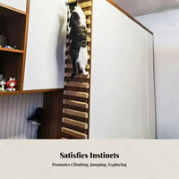 Cat Climbing Rope Ladder, Multi-Purpose Bridge, Suspended Scratcher for Cat Enclosure, Shelf Connector