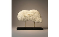 Textured Coral Sculpture Organic Tabletop Sculpture with Base Modern Abstract Statue Decorative for Homeowners, Interior Designers, Living Room, Entryway Console, Bookshelf, Office Reception