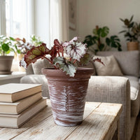Plant Pots for Indoor Plants and Home Office, Smooth Terracotta Pots with Drainage Hole, Single Breathable Clay Pot, Small Tapered Terra Cotta