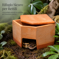 Reptile Ceramic Humidifying Hideaway Cave for Lizards, Snakes, and Spiders