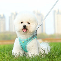 Dog Harness and Cat Harness with Dog Leash and Cat Leash Set, Nylon Vest Style Comfort No Pull Reflective Harness for Training Small Pets Outdoor