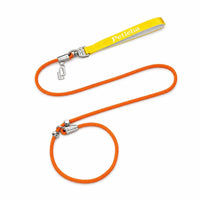 Soft Lining Reinforced Stitching Leash with Metal Hardware Braided Rope