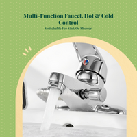 Wall-mounted brass faucet, sprayer.