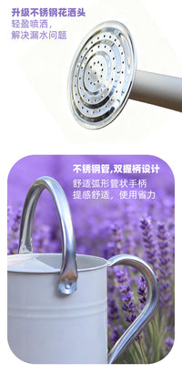 沃施worth洒水壶长嘴铁制浇花壶家用大容量浇水壶复古园艺花洒壶