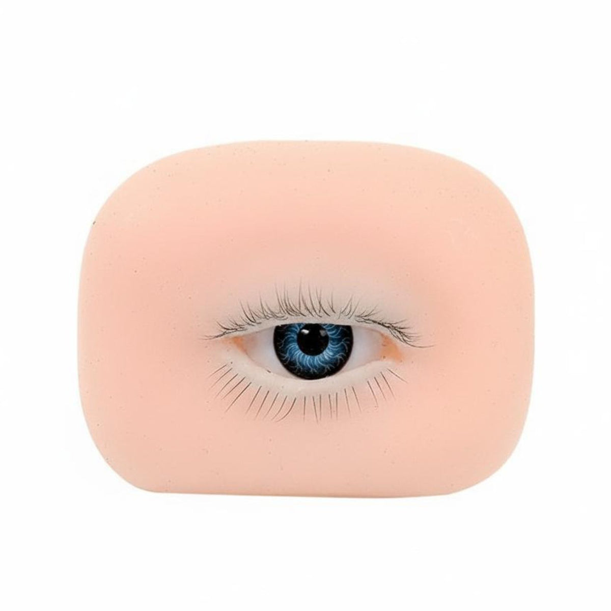 Lash Application Training Module Liftable Eyelid Eyelash Extension Practice Eye With Upper and Lower Lashes 3D Lash Mannequin Eye for Beginners, Salon
