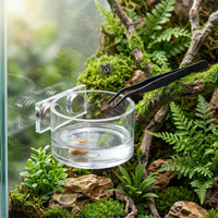 Arachnid Feeding Cup with Tweezers Compact Reptile Food Dish Removable