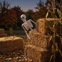 Articulated Skeleton with Movable Joints Halloween Poseable Skeleton Full Body Prop Bendable for Haunted House, Yard