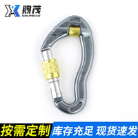 Aluminum Alloy D-Shape Carabiner with Lock for Climbing and Rescue