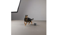 1/64 Scale Dog Figurine Fine Workmanship Mini Dog Model 3D Printed