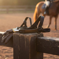 rolling Ball Equestrian Aids Riding Prod and Strap Set Comfortable English Style Equestrian Aids for Equestrians