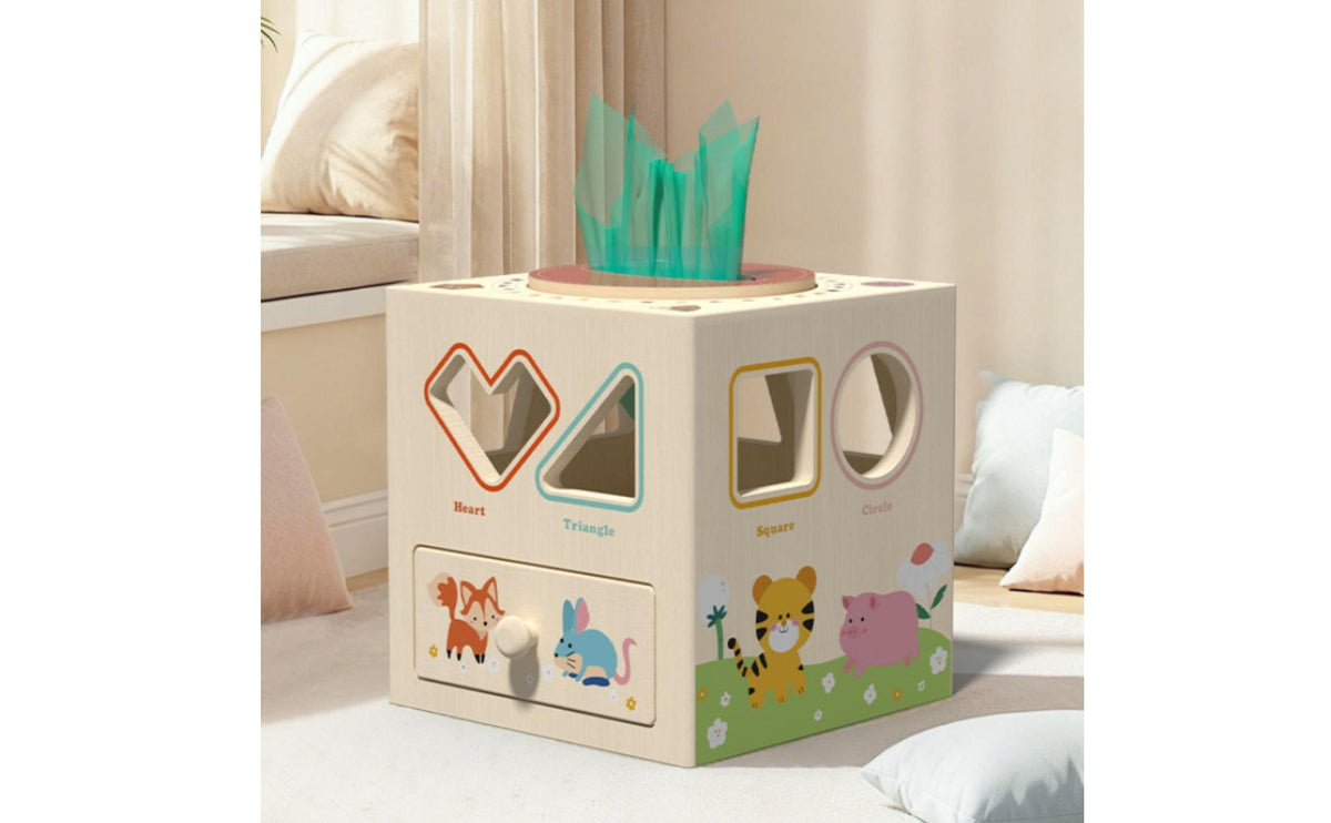 Multifunctional Shape Sorter Early Educational Wooden Sensory Surface Coating Educational Toy for Young Children