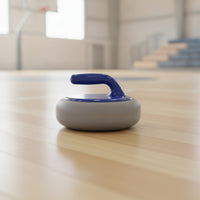 Dry-Land Sweeping Puck Stone Training Floor Sweeping Puck Stone Indoor Athletic Gear for Schools, Athletes