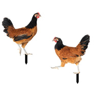 Chicken Garden Stake Long-Lasting for Gardeners, Homeowners