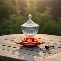 Hummingbird Feeder Anti Wildlife Supply Decorative for Garden