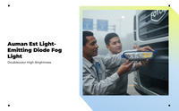 Auman EST LED fog light, aluminum