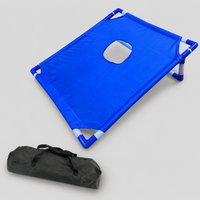 bean bag toss game set