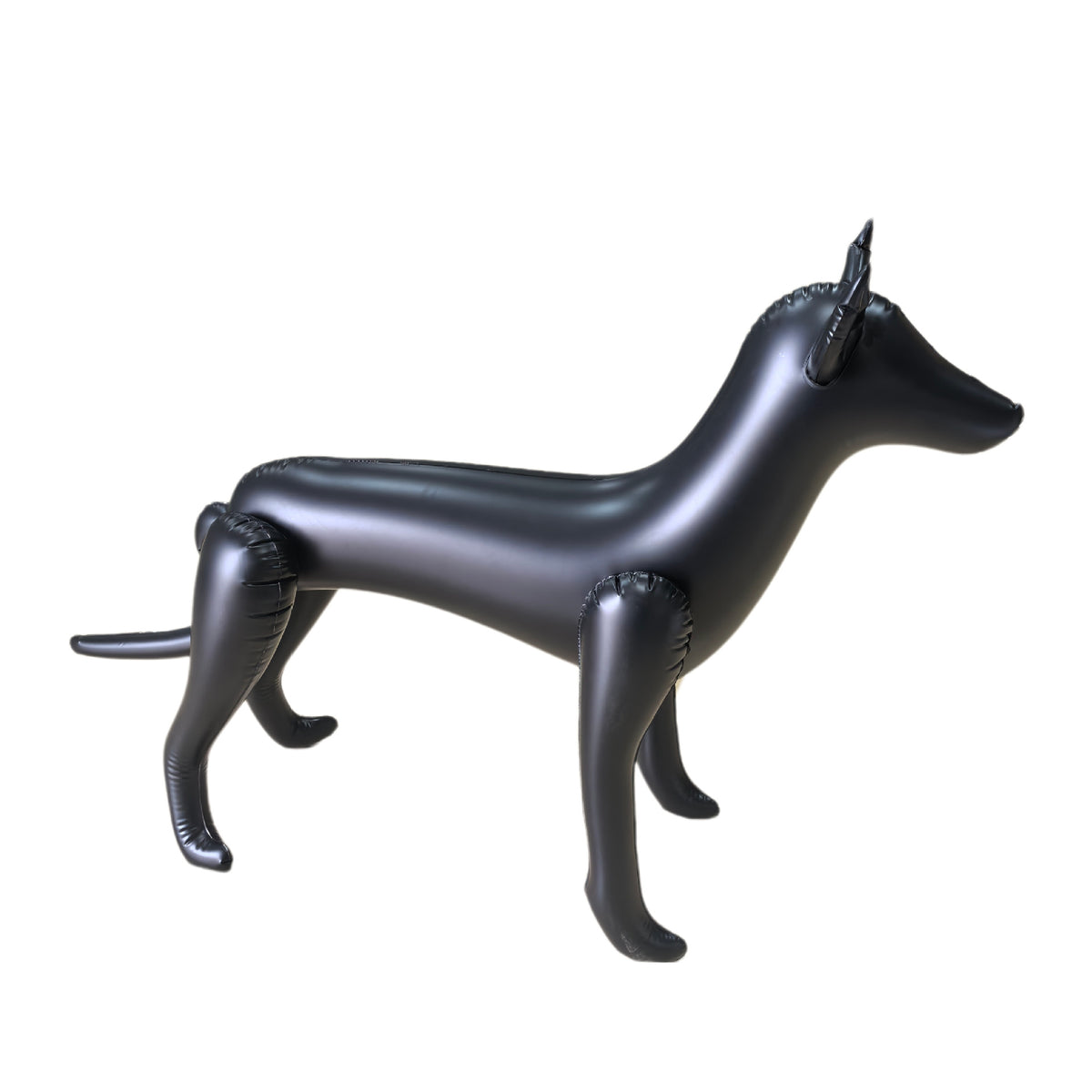 L Black Dog 018MM