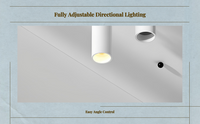 Adjustable narrow-beam LED spotlight