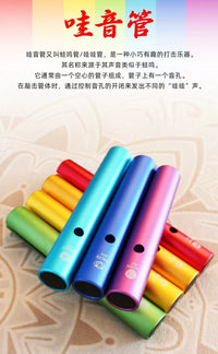 Rainbow Frog Guiro Percussion Instrument