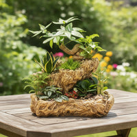 Gnarled Base Planter Carved Imitation Wood Planter Tabletop Pot for Office Desk