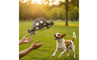 Soft Toy Toy with Sound Electric Stuffed Animal with Ball Motion Activator