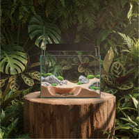Underground Cave Ornament Natural Look Terrarium Hideout Space-Saving