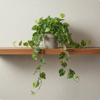 Artificial Trailing Greenery Indoor Decoration Greenery Vine Floral Arrangement Home Decor
