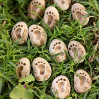 20 Pieces Paw Print Stepping Stone DIY Decoration for Flower Pot, Terrarium