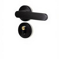 Matte black privacy lever, easy install