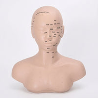 PVC Mannequin Head with Shoulders Soft Acupoint Training Model Mannequin Head with Shoulders Flesh-Toned Realistic