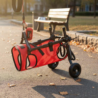Dog Support Dog Walking Assistance Cart Leg Mobility Support Hind Leg for Rehabilitation