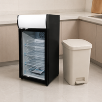 mini refrigerator