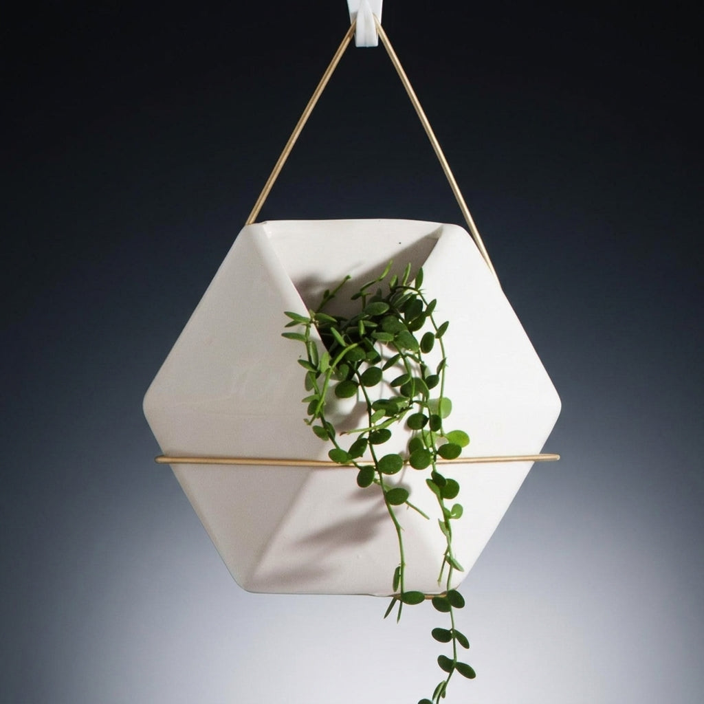 Plant Pots and Hanging Basket for Flower Pots, Modern Nordic Wall Decor for Home Office, Geometric Wall Planter with Rope Plant Hanger, 1 Pack