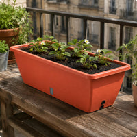 Rectangular Plastic Planter Thickened Vegetable Planter Box Easy to Clean