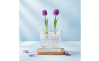 Water-Culture Bulb Flower Planter Clear Design Clear Glass Bulb Forcing Vase Preserves Roots Planter with Bulb Holder Basket for Windowsill