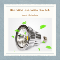 COB Par30 LED Spotlight E27 Base