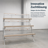 Tiered chicken cage, galvanized steel cage for laying hens, multi-level poultry cage for egg production, hygienic chicken keeping
