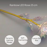 Rainbow Lighted Artificial Flower Romantic Gift Decor
